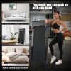 Brushless motor Walking Pad 300 lb Capacity, Desk Treadmill for Home Office, Protable Treadmill Under Desk, Walking Treadmills for Home,0.5 to 4.0 mph